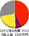 三愛コーポレーション 損益計算書 2012年4月期