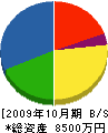 山田塗装 貸借対照表 2009年10月期