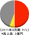 日本デンカ 損益計算書 2011年4月期