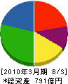 昭和電線ケーブルシステム 貸借対照表 2010年3月期