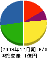 外川組 貸借対照表 2009年12月期