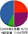 野沢建築 貸借対照表 2009年6月期