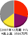 伊藤塗装 損益計算書 2007年12月期