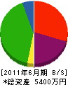 中川政建設 貸借対照表 2011年6月期