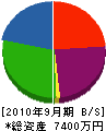 日本エーアイシステム 貸借対照表 2010年9月期