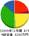小島建設 貸借対照表 2009年12月期