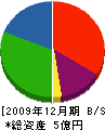 千代田化成 貸借対照表 2009年12月期