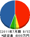 藤沼電気商会 貸借対照表 2011年7月期