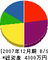 椿原工業 貸借対照表 2007年12月期
