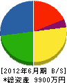 東日本浄化槽管理センター 貸借対照表 2012年6月期