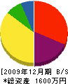 相川電気商会 貸借対照表 2009年12月期