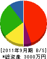 川村工務店 貸借対照表 2011年9月期