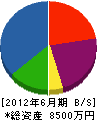 田中設備工業 貸借対照表 2012年6月期