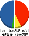 岩崎設備 貸借対照表 2011年9月期