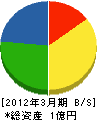 日昭電工 貸借対照表 2012年3月期