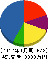 藤木良弘設備 貸借対照表 2012年1月期