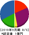 千葉工務店 貸借対照表 2010年9月期