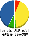 槌田造園土木 貸借対照表 2013年1月期