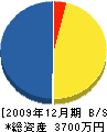 宮崎土木 貸借対照表 2009年12月期