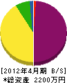 坪田建設 貸借対照表 2012年4月期