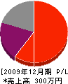 髙江洲たたみ店 損益計算書 2009年12月期