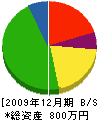 服部造園研究所 貸借対照表 2009年12月期