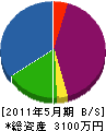 新井電設 貸借対照表 2011年5月期