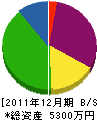ハシモトハウス 貸借対照表 2011年12月期