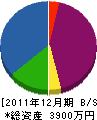 ツカサホーム 貸借対照表 2011年12月期