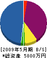 山武 貸借対照表 2009年5月期