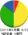 竹中組 貸借対照表 2011年6月期
