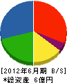 新井組 貸借対照表 2012年6月期