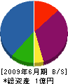 前田畳製作所 貸借対照表 2009年6月期