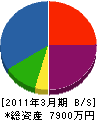 磯辺電気 貸借対照表 2011年3月期