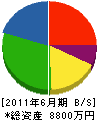 達輝産業 貸借対照表 2011年6月期