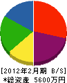 澤海電気 貸借対照表 2012年2月期