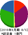 中島電工 貸借対照表 2010年6月期