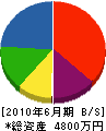 藤永土建 貸借対照表 2010年6月期