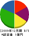 井上石材 貸借対照表 2009年12月期