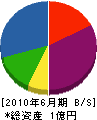 鎌倉土建 貸借対照表 2010年6月期