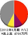 田端亮商事 損益計算書 2012年6月期