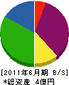 津村技巧 貸借対照表 2011年6月期