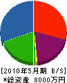 富士建設所 貸借対照表 2010年5月期