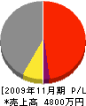 阪南工業所 損益計算書 2009年11月期