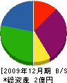 竜石電工 貸借対照表 2009年12月期