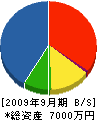 木村建設 貸借対照表 2009年9月期