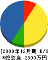 藤井造園土木 貸借対照表 2009年12月期
