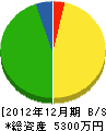 大川組 貸借対照表 2012年12月期