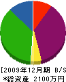 柴田工務店 貸借対照表 2009年12月期