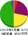 蓬田組 貸借対照表 2010年6月期